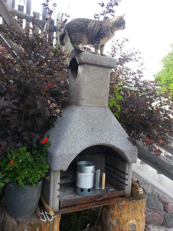 Neu-Schoetzerhof Meltina Εξωτερικό φωτογραφία